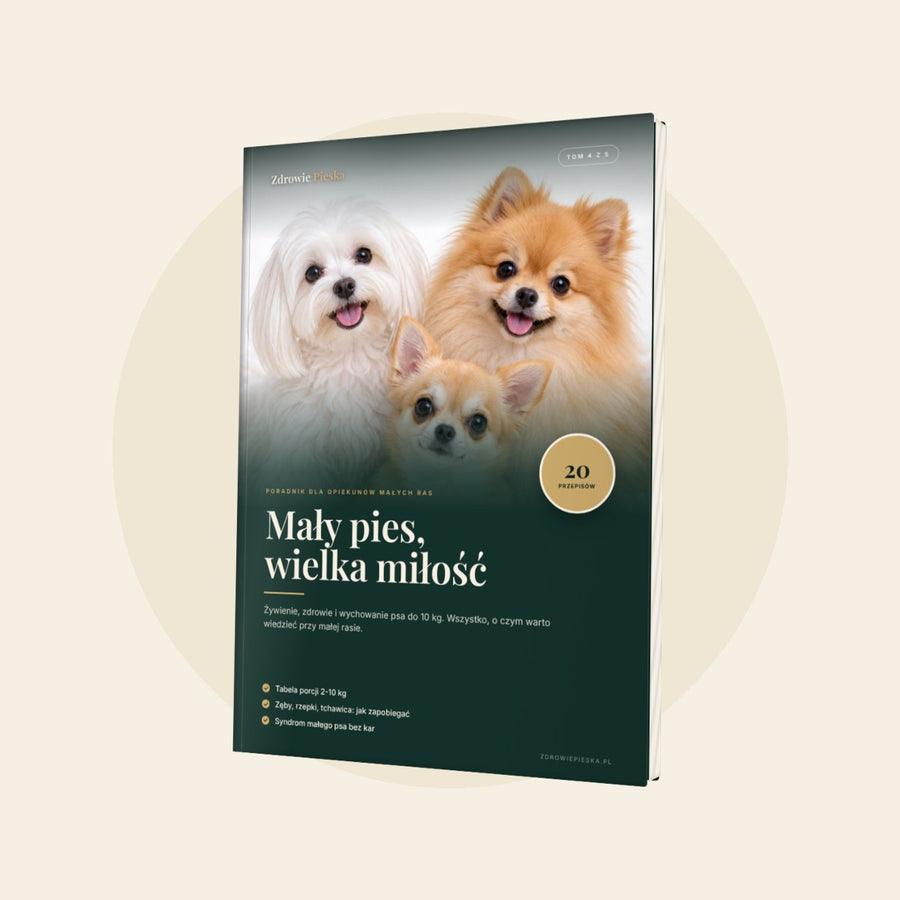 Mały pies, wielka miłość (Tom 4)