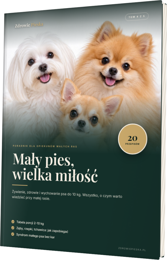 Tom 4. Mały pies, wielka miłość
