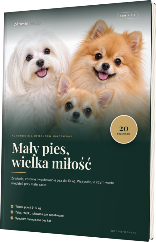 Tom 4. Mały pies, wielka miłość