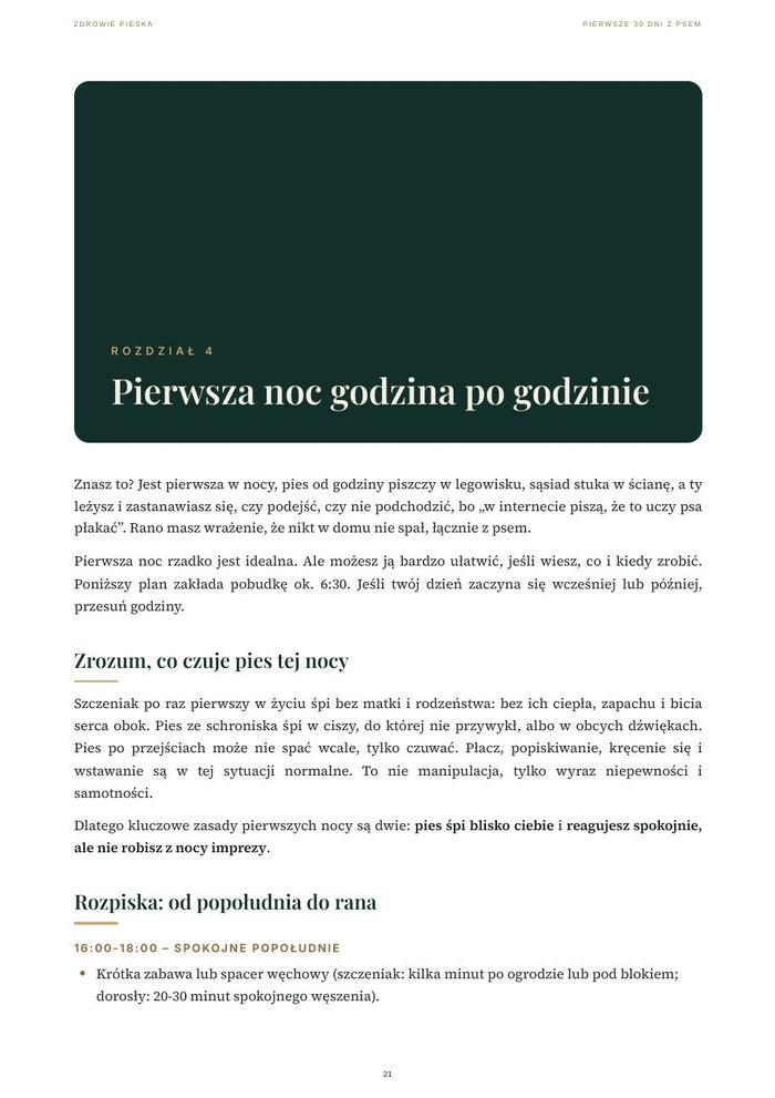 Przykładowa strona poradnika 2